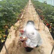 ヒメ日記 2026/04/01 15:14 投稿 あやめ バカンス学園　谷九校