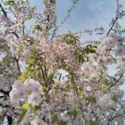 ヒメ日記 2026/04/16 23:19 投稿 とき 若妻LOVE