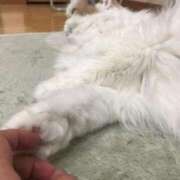 ヒメ日記 2026/06/10 11:01 投稿 とき 若妻LOVE