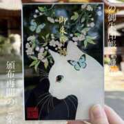 ヒメ日記 2026/06/13 11:02 投稿 とき 若妻LOVE