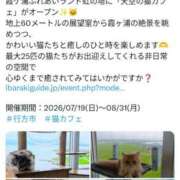 ヒメ日記 2026/08/07 17:13 投稿 とき 若妻LOVE