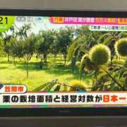 ヒメ日記 2026/10/18 21:31 投稿 とき 若妻LOVE