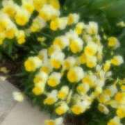 ヒメ日記 2025/12/30 23:33 投稿 りり Charme（シャルム）