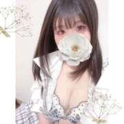 ヒメ日記 2026/01/24 07:28 投稿 あかり 京都BOOK MARK（ブックマーク）