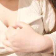 ヒメ日記 2026/02/01 08:14 投稿 なち ぷるるん小町日本橋店