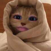 ヒメ日記 2026/03/06 17:17 投稿 なち ぷるるん小町日本橋店