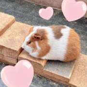 ヒメ日記 2026/03/13 18:51 投稿 ありさ 横浜人妻セレブリティ（ユメオト）