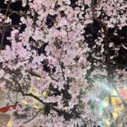 ヒメ日記 2026/03/25 19:32 投稿 ありさ 横浜人妻セレブリティ（ユメオト）