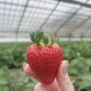 ヒメ日記 2026/04/06 19:06 投稿 ありさ 横浜人妻セレブリティ（ユメオト）