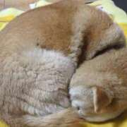 ヒメ日記 2026/03/16 15:05 投稿 柊ももか【優等生】 素人専門キラキラ学園