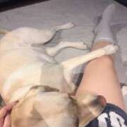 ヒメ日記 2026/02/19 10:18 投稿 みすず 錦糸町ミセスアロマ（ユメオト）