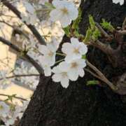 ヒメ日記 2026/04/03 00:10 投稿 りさ GODZUMA（ゴッヅマ）