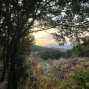 ヒメ日記 2026/01/12 05:38 投稿 プレミアあき【谷間に夢中♡】 LIPS(リップス)