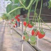 ヒメ日記 2026/01/18 17:36 投稿 プレミアあき【谷間に夢中♡】 LIPS(リップス)