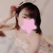 ヒメ日記 2026/02/14 06:30 投稿 ぴよ ていくぷらいど.学園