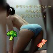 ヒメ日記 2026/03/04 15:01 投稿 ぴよ ていくぷらいど.学園