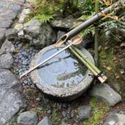 ヒメ日記 2026/05/02 06:01 投稿 ぴよ ていくぷらいど.学園