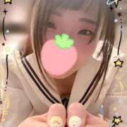 ヒメ日記 2026/05/15 10:33 投稿 ぴよ ていくぷらいど.学園