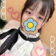 ヒメ日記 2026/05/17 15:02 投稿 ぴよ ていくぷらいど.学園