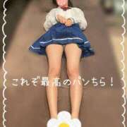 ヒメ日記 2026/05/24 15:18 投稿 ぴよ ていくぷらいど.学園