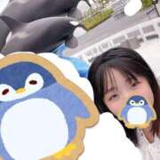 ヒメ日記 2026/06/23 06:31 投稿 ぴよ ていくぷらいど.学園