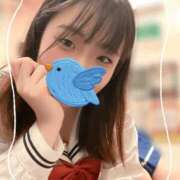 ヒメ日記 2026/06/30 15:25 投稿 ぴよ ていくぷらいど.学園
