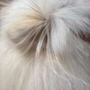 ヒメ日記 2026/02/27 10:51 投稿 えな 即アポ奥さん〜名古屋店〜