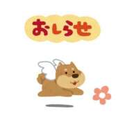 ヒメ日記 2026/01/30 02:07 投稿 はな セレブクエスト-omiya-