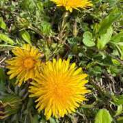 えみこ【特価】 指名ありがとうございます。 恵比寿コレクション　久留米本店