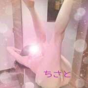 ヒメ日記 2026/02/08 10:23 投稿 ちさと【特価】 恵比寿コレクション　久留米本店