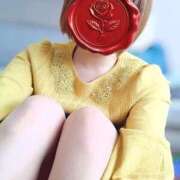 ヒメ日記 2026/02/19 19:03 投稿 とうか【特価】 恵比寿コレクション　久留米本店