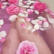 ヒメ日記 2026/01/08 12:13 投稿 ひとみ【特価】 恵比寿コレクション　久留米本店