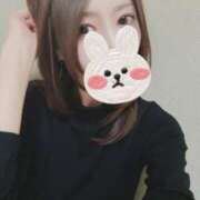 ヒメ日記 2026/04/18 12:24 投稿 ノア バニーコレクション新潟店