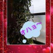 ヒメ日記 2026/01/05 08:47 投稿 みなみ【超特価】 恵比寿コレクション　久留米本店