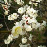 ヒメ日記 2026/02/26 14:09 投稿 西野 人妻最後の砦 鶴ヶ島店