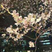 朝比奈 つき 🌸 ホットアロマ