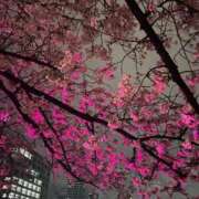 朝比奈 つき お誘い待ってるね ホットアロマ