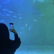 ヒメ日記 2026/01/05 19:58 投稿 みなみ サマンサ 堺店