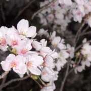 (スタン)月島まりな 綺麗𓂃🌸𓈒𓏸 風俗イキタイいわき店