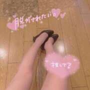 さあや こんばんは🧸🌙 CA倶楽部