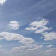 ヒメ日記 2026/02/10 01:05 投稿 野上しほ 若奥サマンサ（横浜ハレ系）