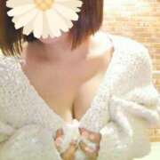 ヒメ日記 2026/03/17 12:05 投稿 野上しほ 若奥サマンサ（横浜ハレ系）