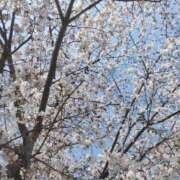 ヒメ日記 2026/03/28 15:16 投稿 野上しほ 若奥サマンサ（横浜ハレ系）