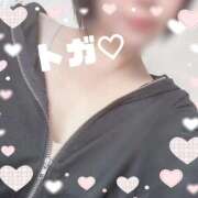 トガ 次回の出勤★ 桃李（とうり）