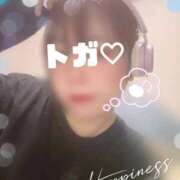 トガ 1/20.22🍑 桃李（とうり）