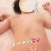 ヒメ日記 2026/02/20 12:00 投稿 うらら タレント倶楽部