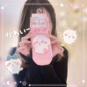 ヒメ日記 2026/04/14 12:00 投稿 ゆうあ クンニ専門店 おクンニ学園 池袋校