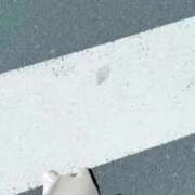 ヒメ日記 2026/02/28 12:13 投稿 深森(ふかもり) 人妻出逢い会 百合の園 山の手本店