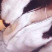 深森(ふかもり) モコモコです𐔌՞ᱹ ﹼ ̫ ᱹ՞𐦯 人妻出逢い会 百合の園 山の手本店