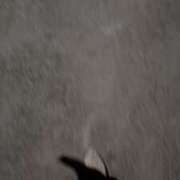 ヒメ日記 2026/04/10 09:47 投稿 深森(ふかもり) 人妻出逢い会 百合の園 山の手本店